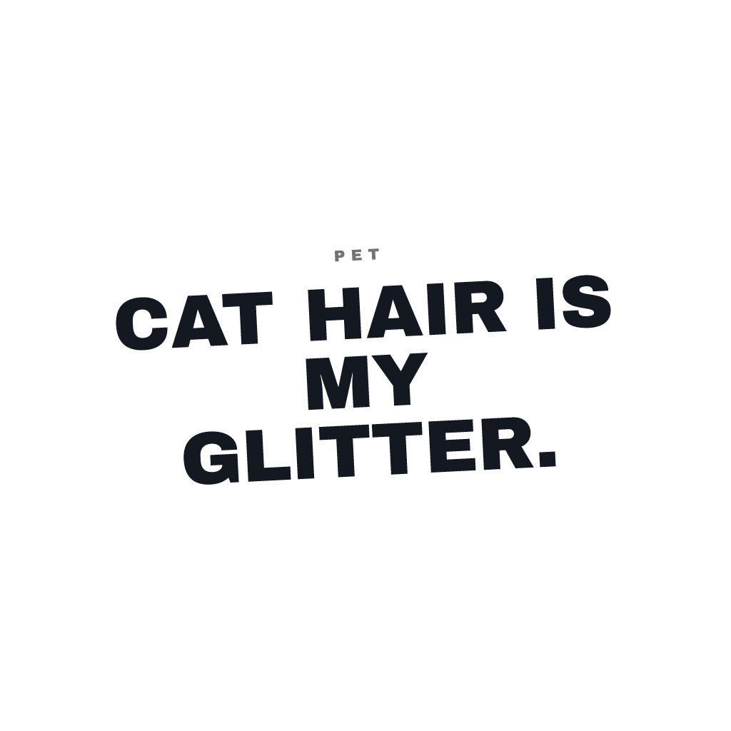 Cat Hair Is Glitter