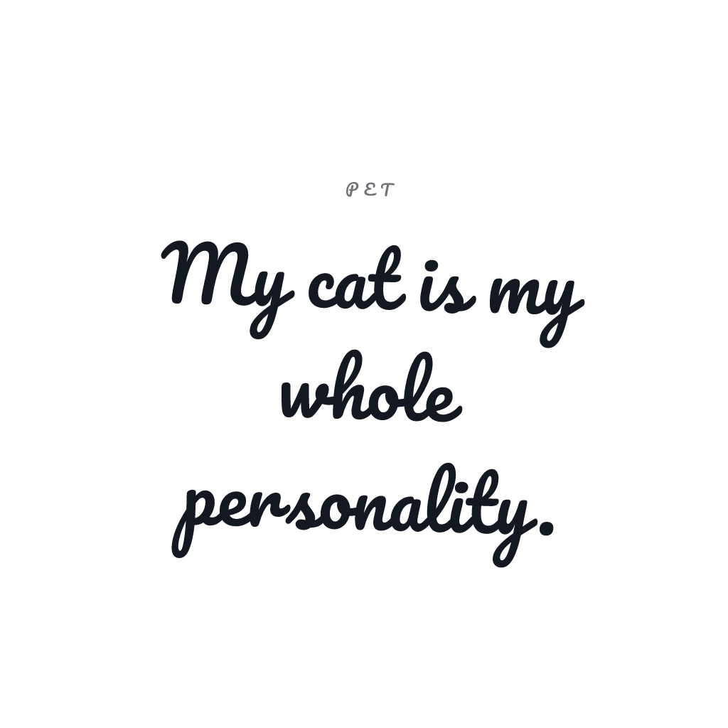 Cat Is My Personality