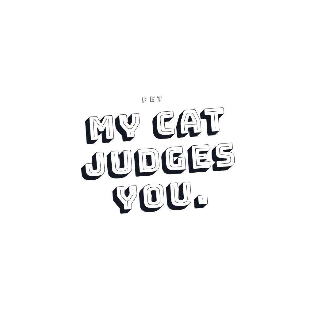 My Cat Judges You