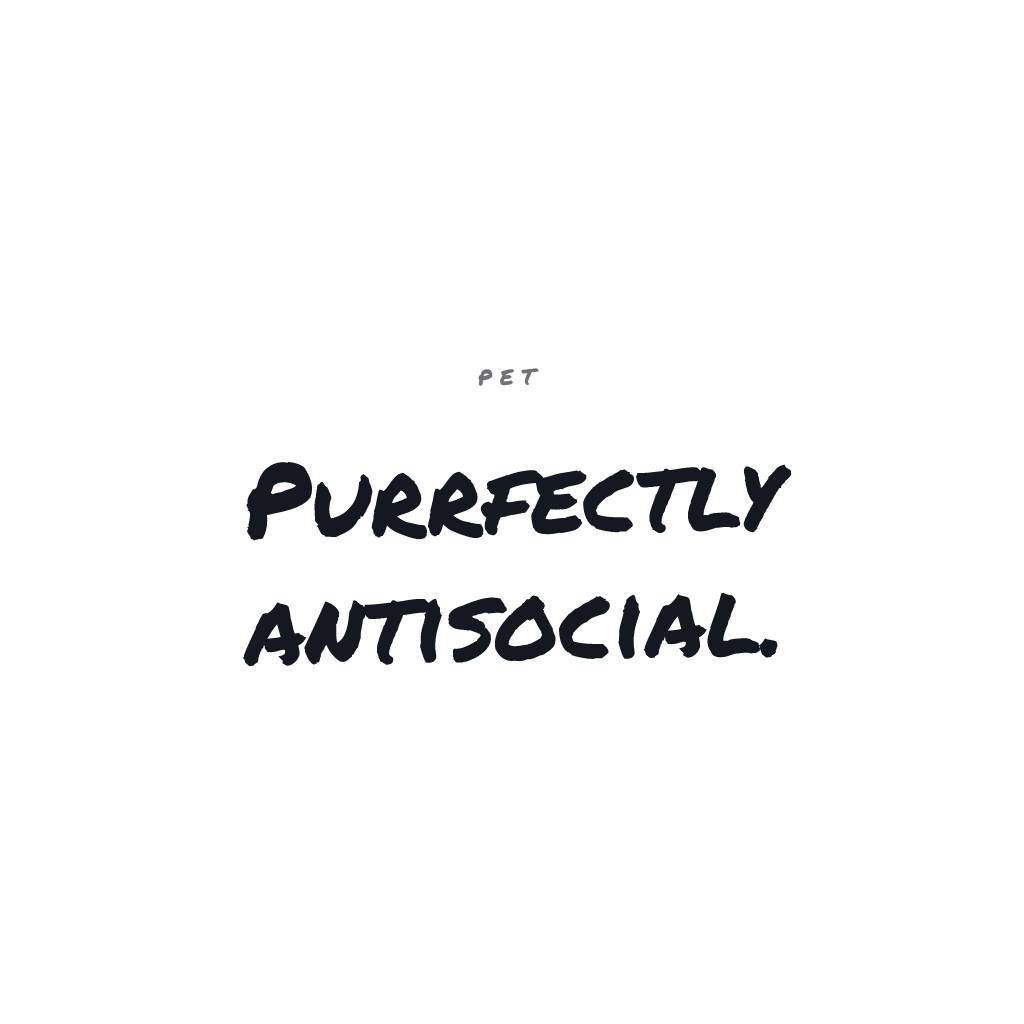 Purrfectly Antisocial