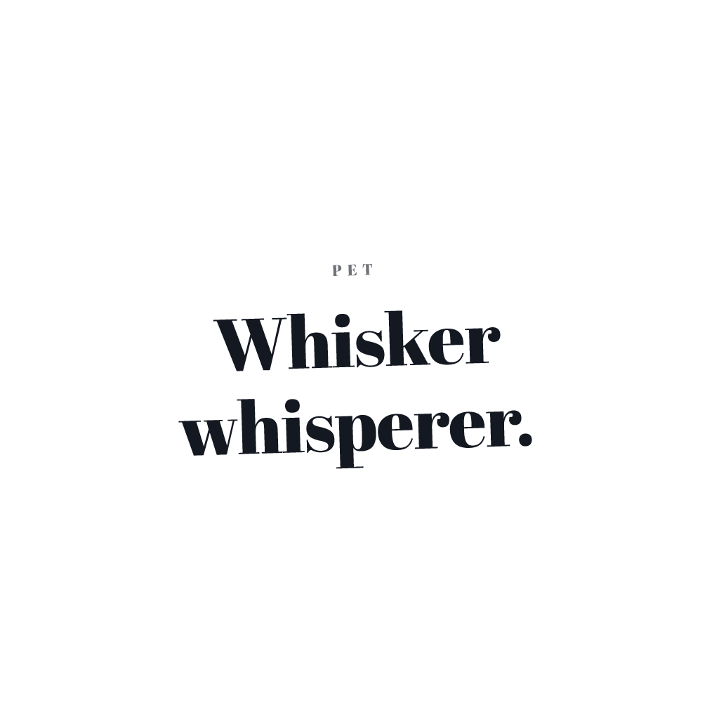 Whisker Whisperer